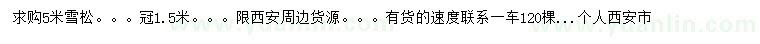 求購5米雪松