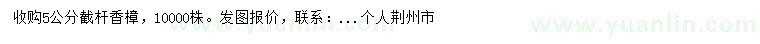 求購(gòu)5公分截桿香樟