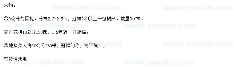 求購國槐、香花槐、美人梅