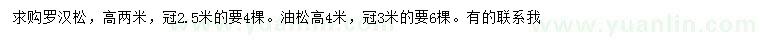 求購(gòu)高2米羅漢松、高4米油松