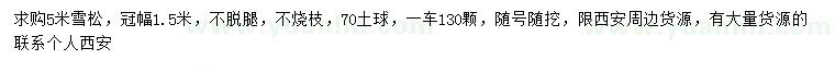 求購5米雪松