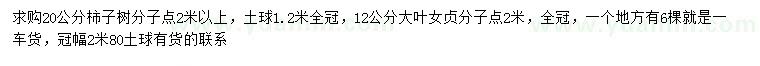 求購20公分柿子樹、12公分大葉女貞