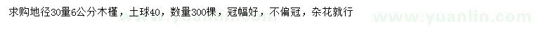 求購30量6公分木槿