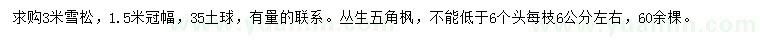 求購3米雪松