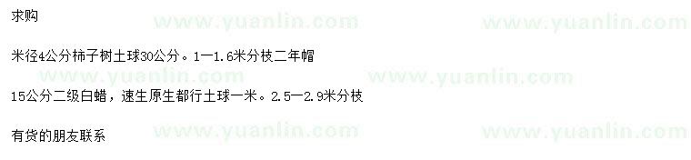 求購米徑4公分柿子樹、15公分白蠟