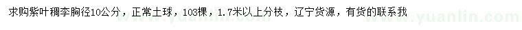 求購胸徑10公分紫葉稠李