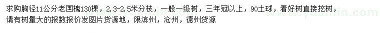 求購(gòu)胸徑11公分老國(guó)槐