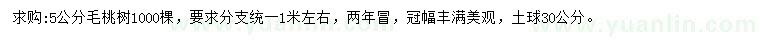 求購5公分毛桃樹