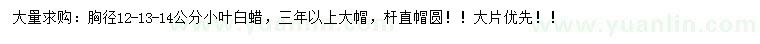 求購胸徑12-13-14公分小葉白蠟