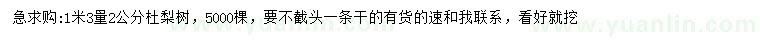 求購1.3米量2公分杜梨樹