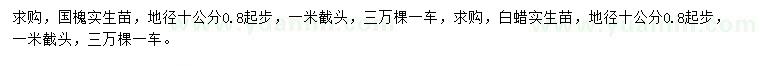 求購地徑10量0.8公分國槐、白蠟