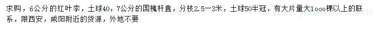 求購(gòu)6公分紅葉李、7公分國(guó)槐