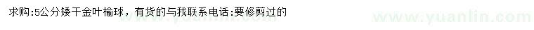 求購5公分金葉榆球