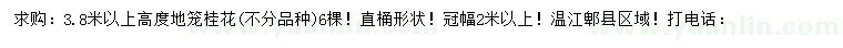 求購高3.8米以上地籠桂花