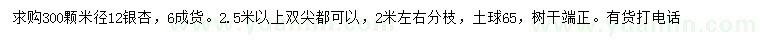求購米徑12公分銀杏