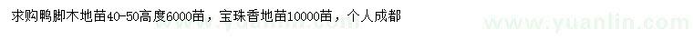 求購高40-50公分鴨腳木、50-60公分寶珠香