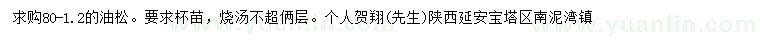 求購(gòu)80-1.2米油松