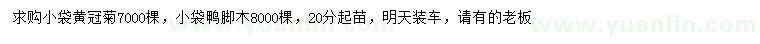 求購20公分黃冠菊、鴨腳木