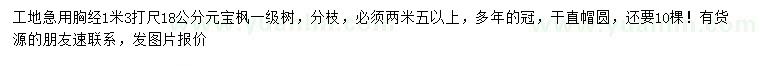 求購1.3米量18公分元寶楓