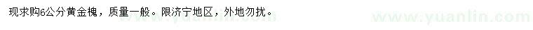 求購6公分黃金槐