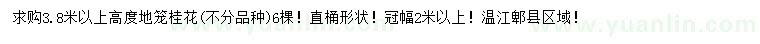 求購高3.8米以上桂花