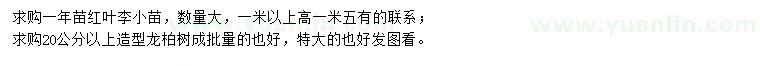 求購一年苗紅葉李小苗、造型龍柏