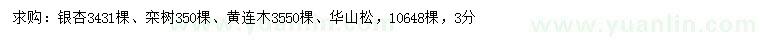 求購銀杏、欒樹、黃連木等