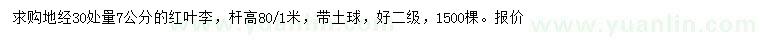 求購30量7公分紅葉李