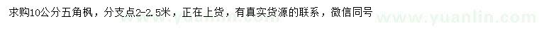 求購(gòu)10公分五角楓