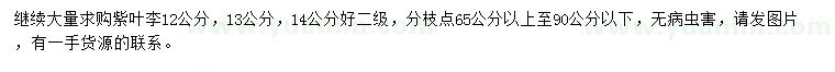 求購12、13、14公分紫葉李