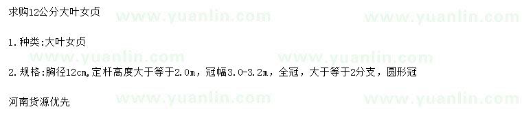 求購12公分大葉女貞