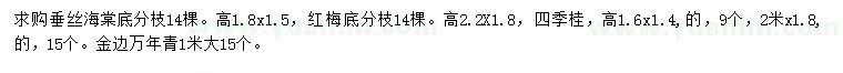 求購垂絲海棠、紅梅、四季桂