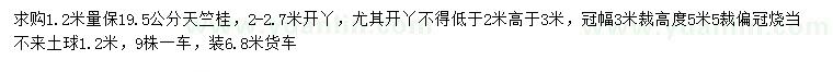 求購1.2米量19.5公分天竺桂