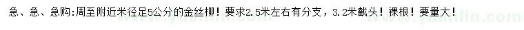 求購米徑5公分金絲柳