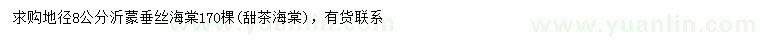 求購(gòu)地徑8公分垂絲海棠
