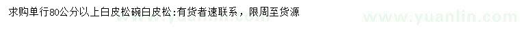 求購80公分以上白皮松