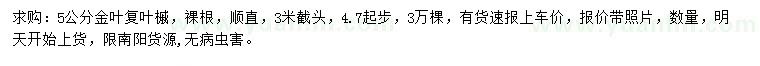 求購4.7公分以上金葉復葉槭