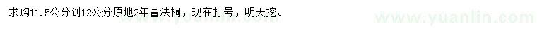 求購(gòu)11.5-12公分法桐