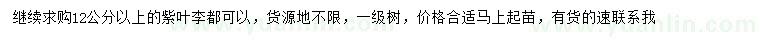 求購12公分以上紫葉李