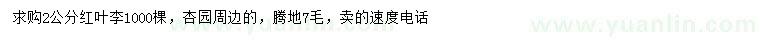 求購2公分紅葉李