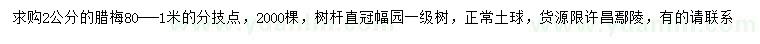 求購2公分臘梅