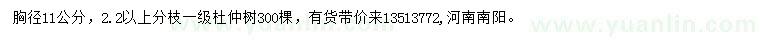 求購胸徑11公分杜仲