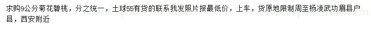 求購(gòu)9公分菊花碧桃