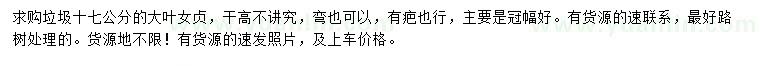 求購17公分大葉女貞