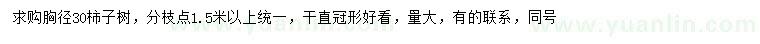 求購胸徑30公分柿子樹