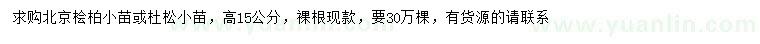 求購高15公分北京檜柏小苗或杜松小苗