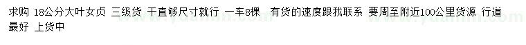 求購18公分大葉女貞