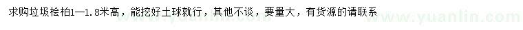 求購1-1.8米高檜柏