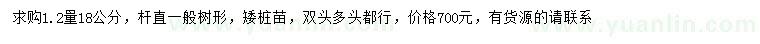 求購18公分矮樁苗