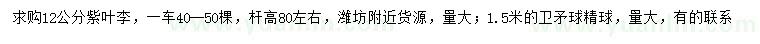 求購12公分紫葉李